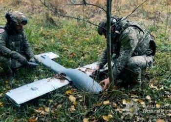 На Сумщині грибники у лісі знайшли ворожий БпЛА
