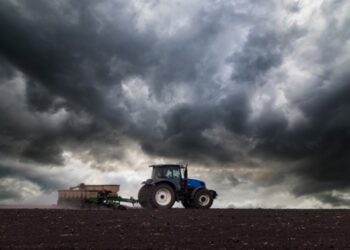 Українські аграрії засіяли 74% озимих культур