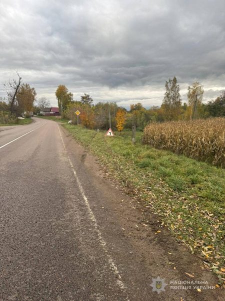 ДТП у Шосткинському районі: автомобіль, яким керував 16-річний хлопець, зіткнувся з деревом, постраждало 3 людей + Фото