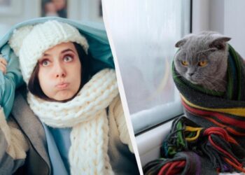 Гріємося у квартирі без опалення: “розумний” лайфхак, який усі ігнорують