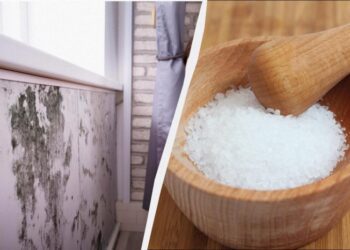Якщо у квартирі холодно і сиро без опалення: як прибрати вологу народними засобами