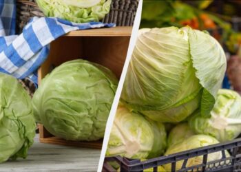 Капусту зберігаю до наступного літа в секретному місці: не в погребі й не в холодильнику