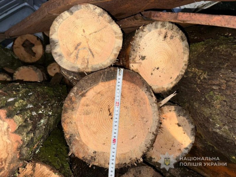 На Конотопщині поліція розслідує незаконну порубку лісу