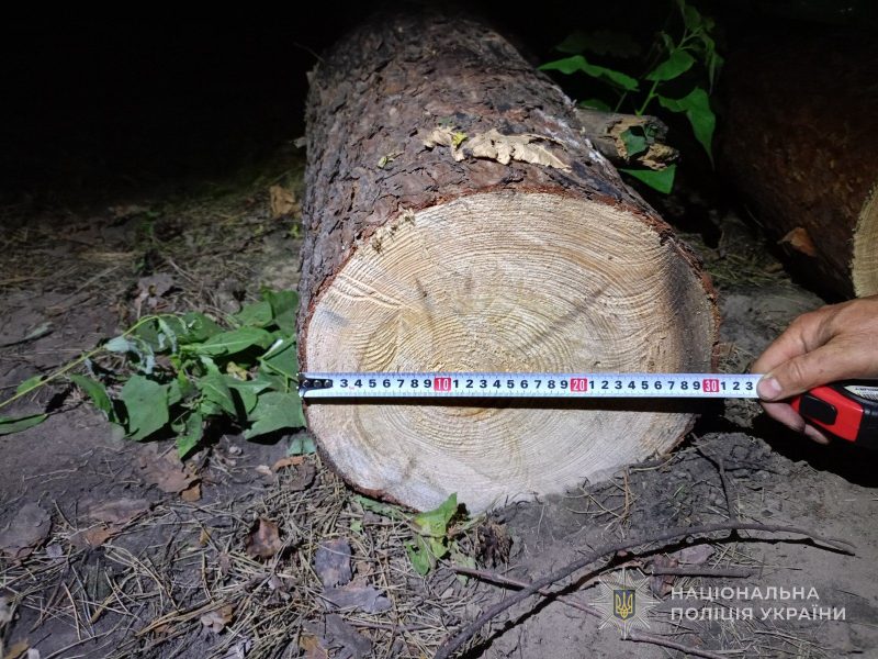 На Роменщині чоловік незаконною порубкою в заповіднику завдав державі понад 1,4 млн гривень збитків