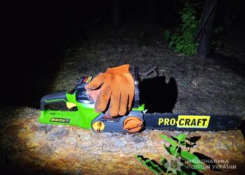 На Роменщині чоловік незаконною порубкою в заповіднику завдав державі понад 1,4 млн гривень збитків