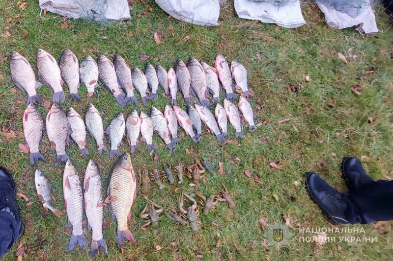 На Роменщині поліцейські викрили чоловіка у незаконному вилові риби