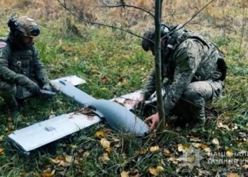 На Сумщині вибухотехніки поліції знешкодили ворожий БпЛА, знайдений грибниками в лісі (ВІДЕО)