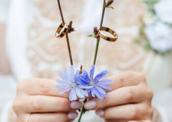 На Сумщині від початку року створено 2847 нових родин