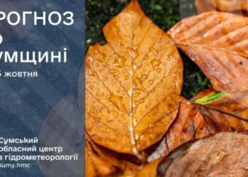 На Сумщині вночі прогнозують сильний вітер із дощем