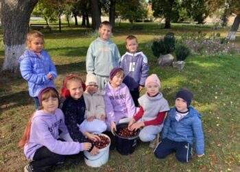 Операція каштан: конотопські юннати зібрали понад 300 кг каштанів