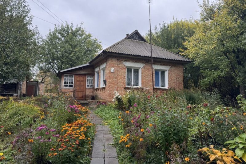 “У будинку вже жили білки”. Подружжя переселенців облаштовується у селі на Конотопщині