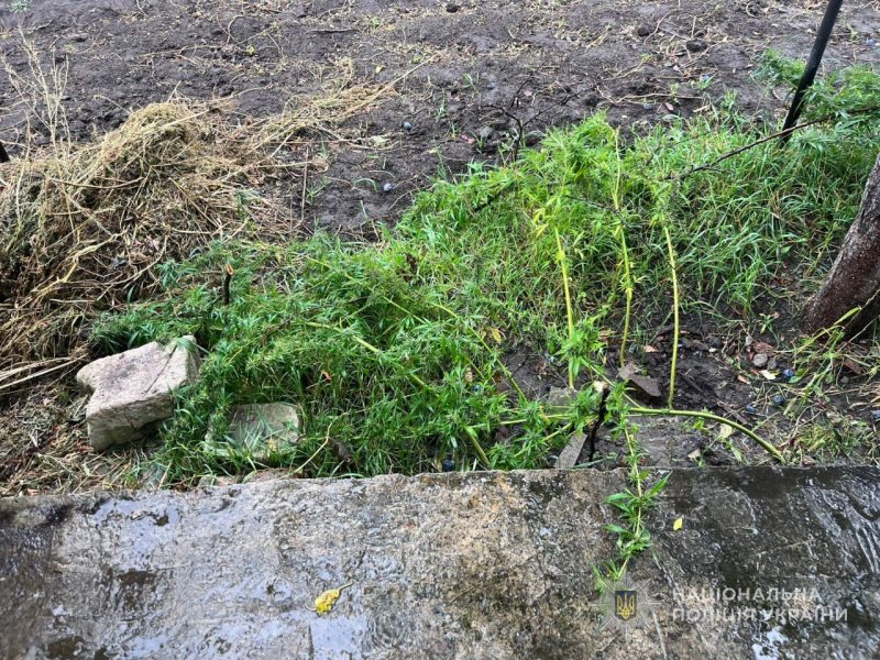 У Глухові поліцейські викрили наркозлочинця