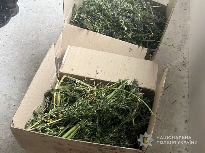 У Глухові поліцейські викрили наркозлочинця