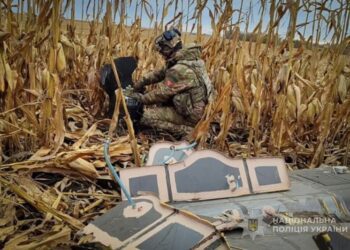У кукурудзяному полі на Сумщині комбайнер натрапив на збитий російський безпілотник