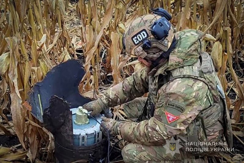 У кукурудзяному полі на Сумщині комбайнер натрапив на збитий російський безпілотник