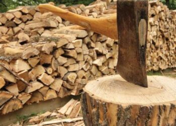 У Шосткинській громаді продовжено прийом заяв на отримання допомоги для придбання для дров