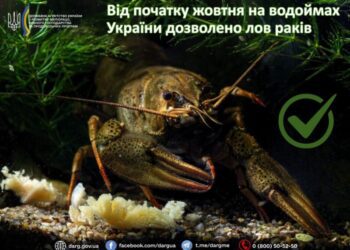 Від початку жовтня на водоймах Сумщини дозволено лов раків