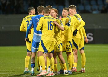 ВІДЕО. УАФ показала, як гравці збірної реагували на перемогу над Ісландією