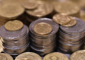 Заміна “копійок” на “шаги”: у Раді зареєстрували історичний законопроєкт