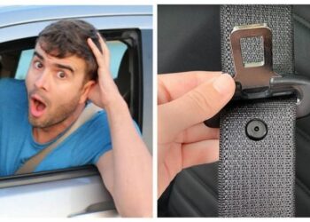 Штрафу не буде: коли поліція не може покарати водія за непристібнутий ремінь