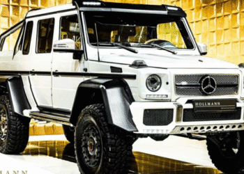 Капсула часу за мільйон: виявлено шестиколісний “Гелендваген” із пробігом 200 км (ФОТО)