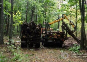 Поліція Глухова повідомила про підозру посадовцю лісгоспу через загибель людини на виробництві