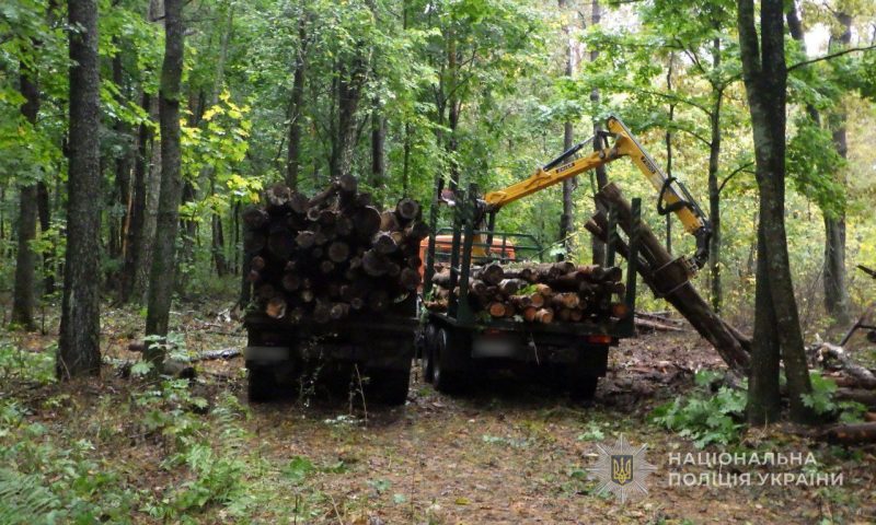 Поліція Глухова повідомила про підозру посадовцю лісгоспу через загибель людини на виробництві