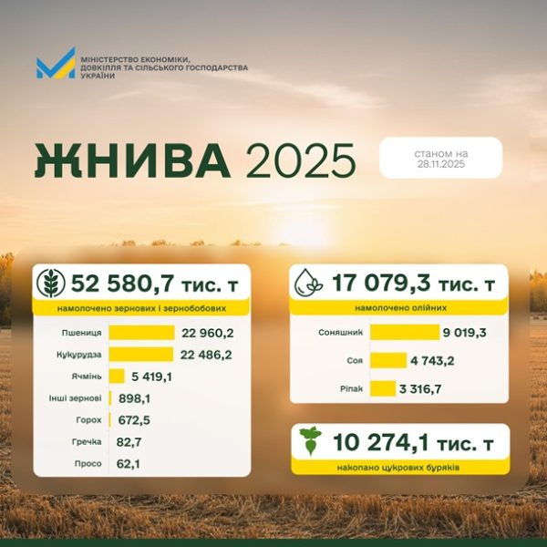 Україна завершує жнива: результати за 2025 рік та прогнози на 2026-й