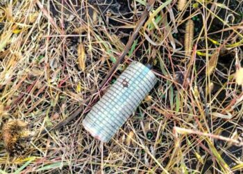 На Сумщині за добу виявили та знищили 6 вибухонебезпечних предметів