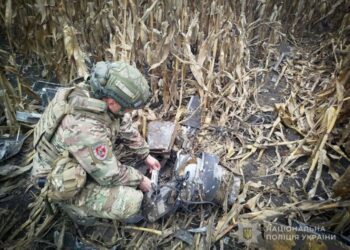 На Сумщині поліцейські знешкодили бойову частину ворожого безпілотника, який впав в полі та не вибухнув