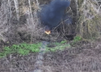 На Північно-Слобожанському напрямку прикордонники знищили ворожий 120-мм міномет