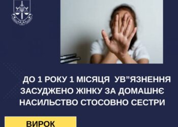 На Сумщині за домашнє насильство стосовно сестри засудили 59-річну жінку