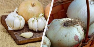 Не в холодильнику: де зберігати цибулю і часник місяцями, щоб не гнили і не проростали