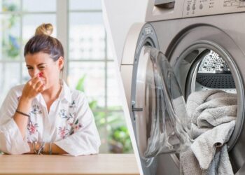 Неприємний запах у машинці накопичується на одній деталі: її потрібно промити
