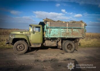 Поліцейські виявили незаконний поруб деревини у Конотопському районі 