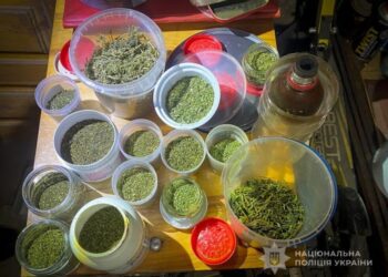 Поліція Конотопа вилучила з незаконного обігу наркотики