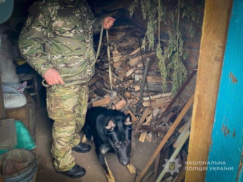 Поліція Конотопа вилучила з незаконного обігу наркотики