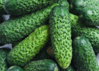 Популярний овоч з початку тижня здорожчав на третину: які ціни на ринку зараз