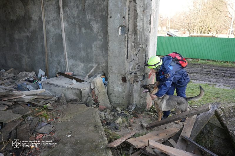 Щорічна атестація рятувальних собак ДСНС: кінологічні розрахунки підтвердили готовність до порятунку життів