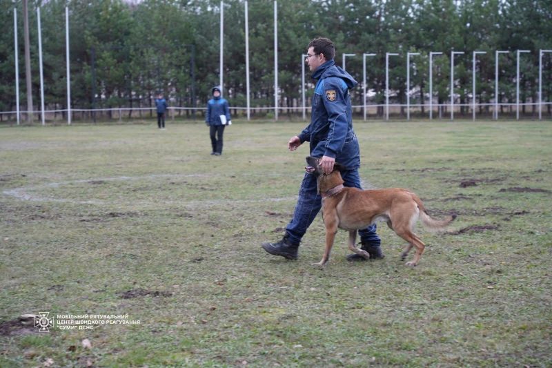 Щорічна атестація рятувальних собак ДСНС: кінологічні розрахунки підтвердили готовність до порятунку життів