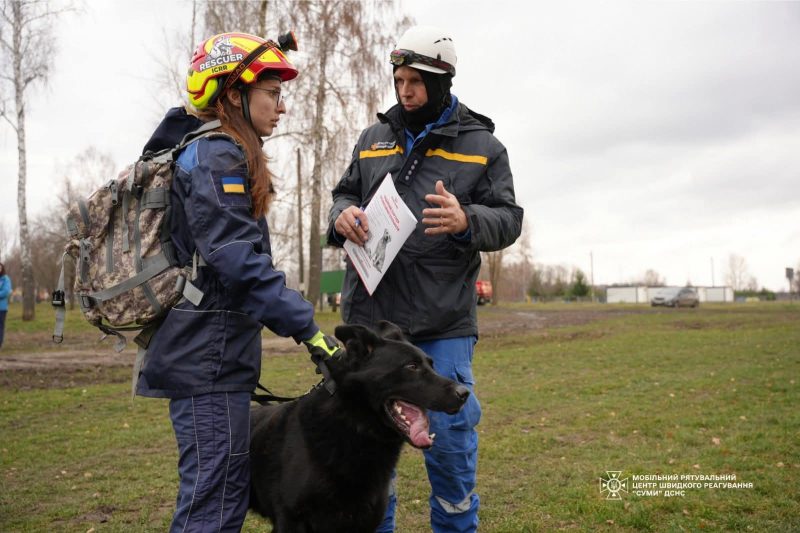 Щорічна атестація рятувальних собак ДСНС: кінологічні розрахунки підтвердили готовність до порятунку життів