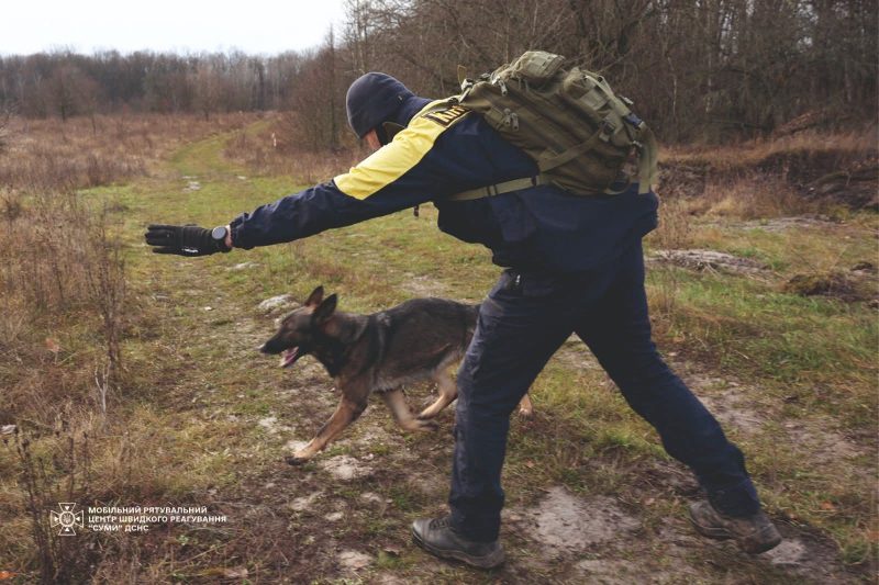 Щорічна атестація рятувальних собак ДСНС: кінологічні розрахунки підтвердили готовність до порятунку життів