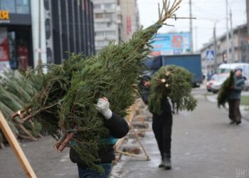 Скоро в Києві запрацюють святкові ярмарки: скільки буде коштувати різдвяна ялинка