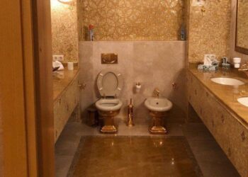 У фігурантів справи про корупцію в енергетиці знайшли мішки з готівкою і золотий унітаз, – FT