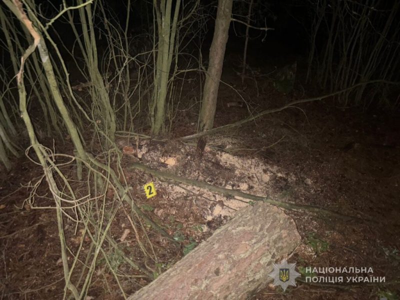 У Конотопському районі поліцейські припинили незаконну вирубку дерев у лісовому масиві