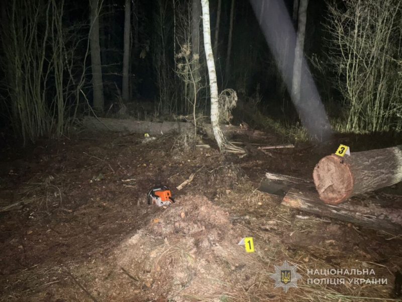 У Конотопському районі поліцейські припинили незаконну вирубку дерев у лісовому масиві