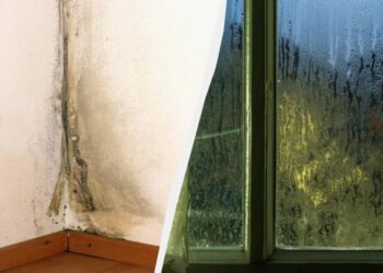 У квартирі більше не буде вогкості, а на вікнах – конденсату: ось що потрібно зробити