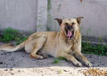 УВАГА! ВАЖЛИВА ІНФОРМАЦІЯ!