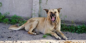 УВАГА! ВАЖЛИВА ІНФОРМАЦІЯ!