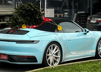 Українець перевозив різдвяну ялинку на спортивному кабріолеті Porsche (ФОТО)